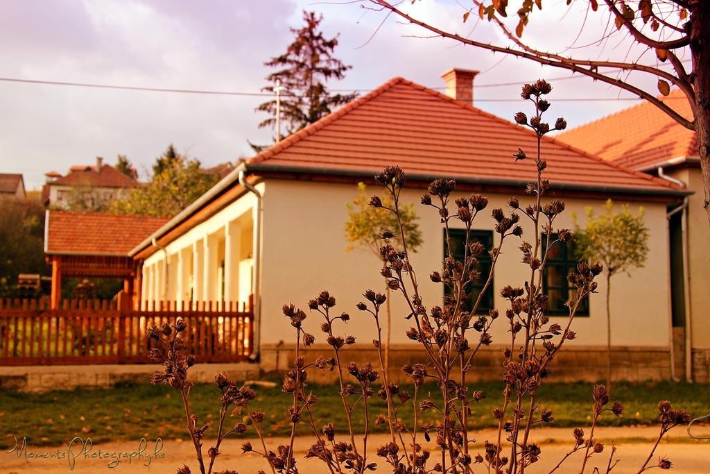Hotel Barta Pince Vendeghaz Mád Exterior foto